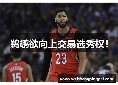 鹈鹕欲向上交易选秀权！